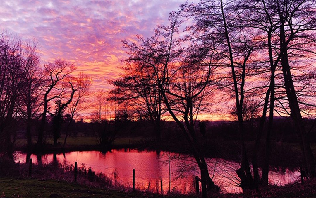 Be Still and Know That I am God – from the Rectory