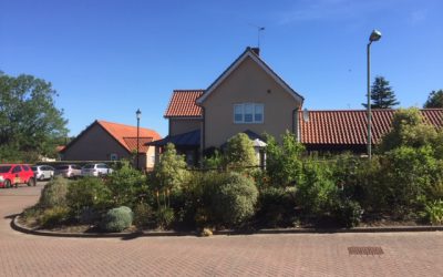 Tea? Your Next Coddenham History Club Talk