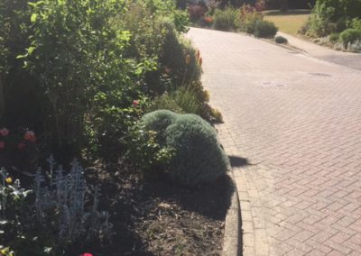 Garden and driveway to Haysel House