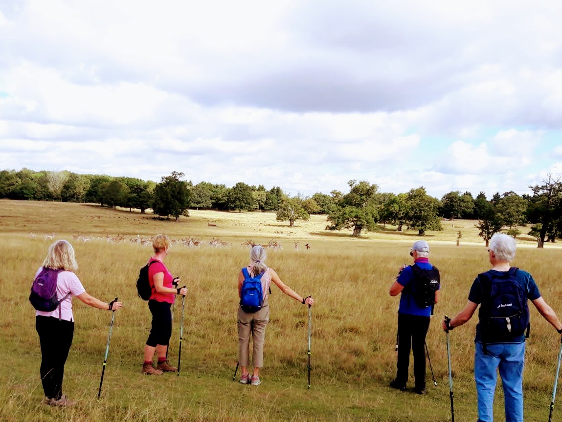 Nordic Walkers watching the Deer