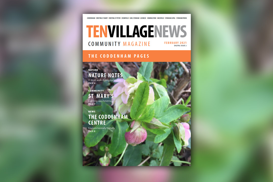 Ten Village News Digital Edition2 Cover Image