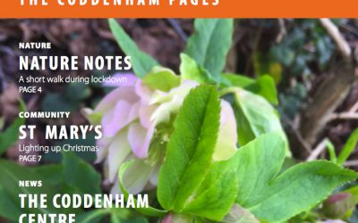 Ten Village News Coordinator Required