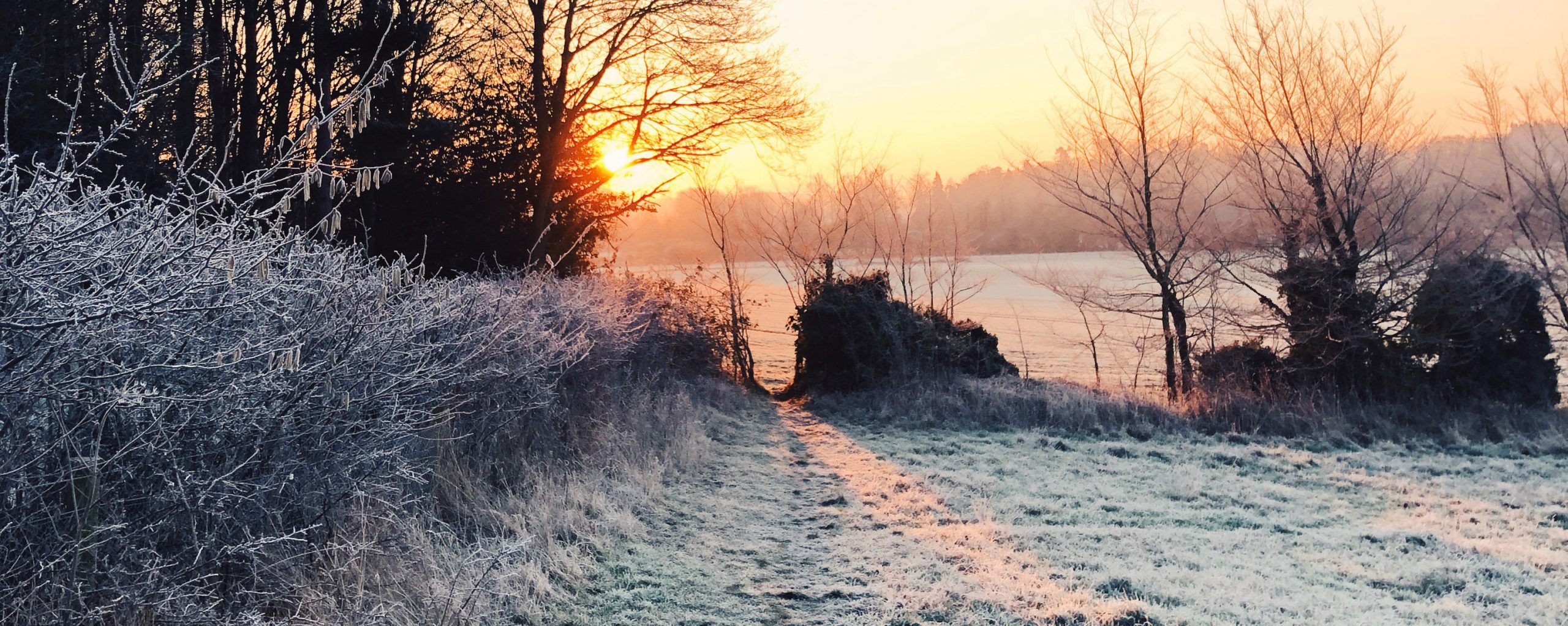Frosty sunrise over fields and trees