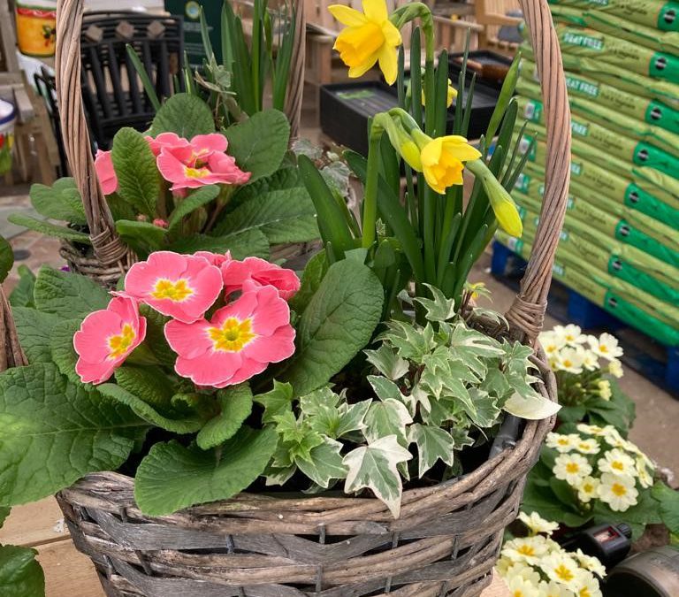 Mother’s Day at Coddenham Community Shop