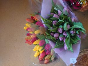 shop tulips