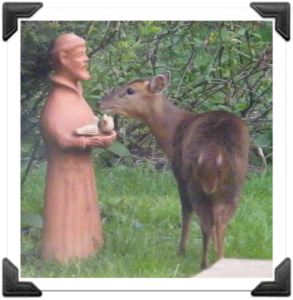 St Francis with deer