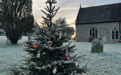 Recycle Your Christmas Tree at the Coddenham Centre