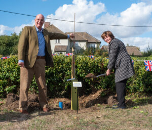 LL tree planting