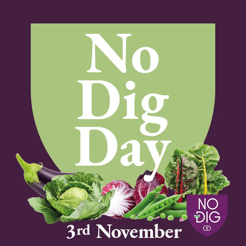 No dig day