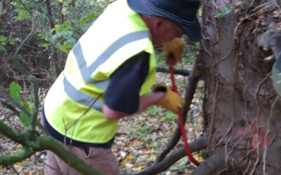 THANKYOU Broom Hill Working Parties