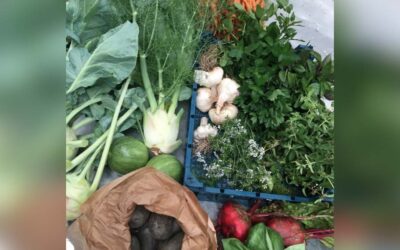 Fellows_Farm2_1080x720 Fellows Farm Produce Box