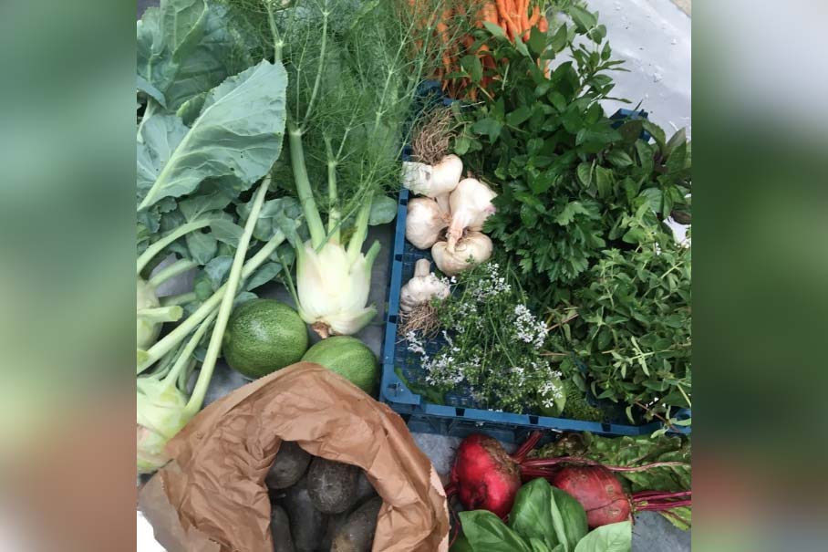 Fellows_Farm2_1080x720 Fellows Farm Produce Box