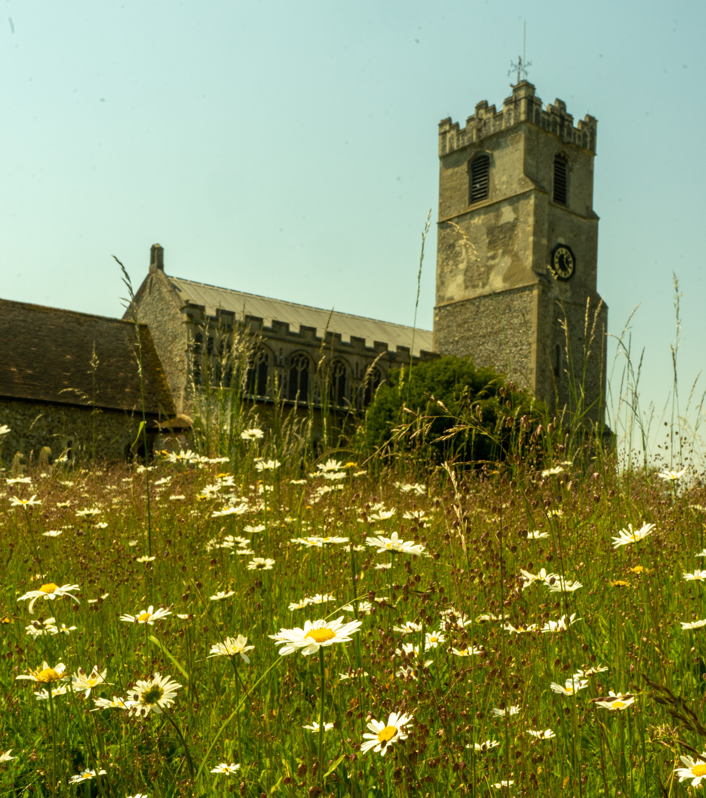 flowers in churchyard CH