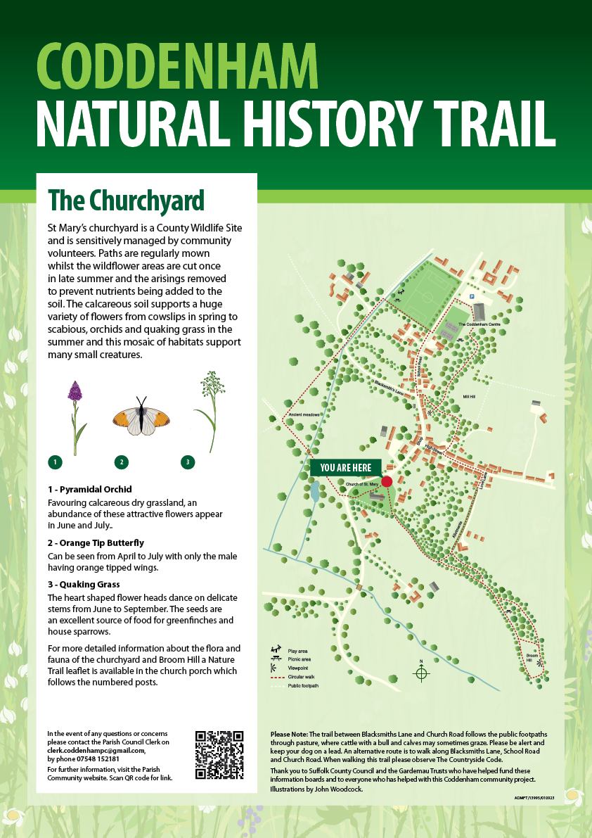 13395_TCC Nature Trail Signs A3 v11 Churchyard The Churchyard Info Board