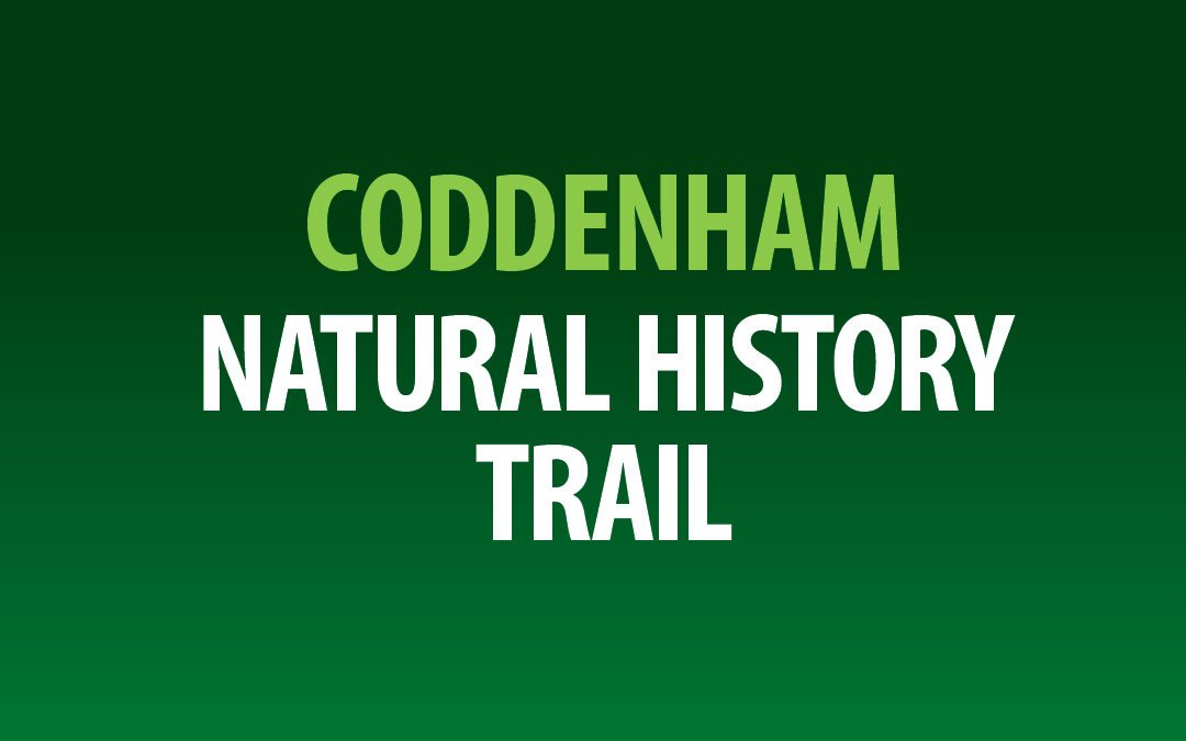 May Nature Notes for Coddenham.