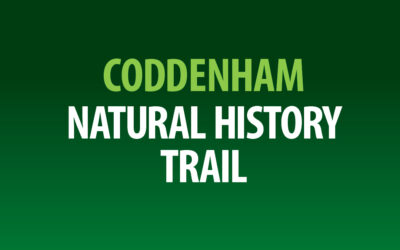 May Nature Notes for Coddenham.