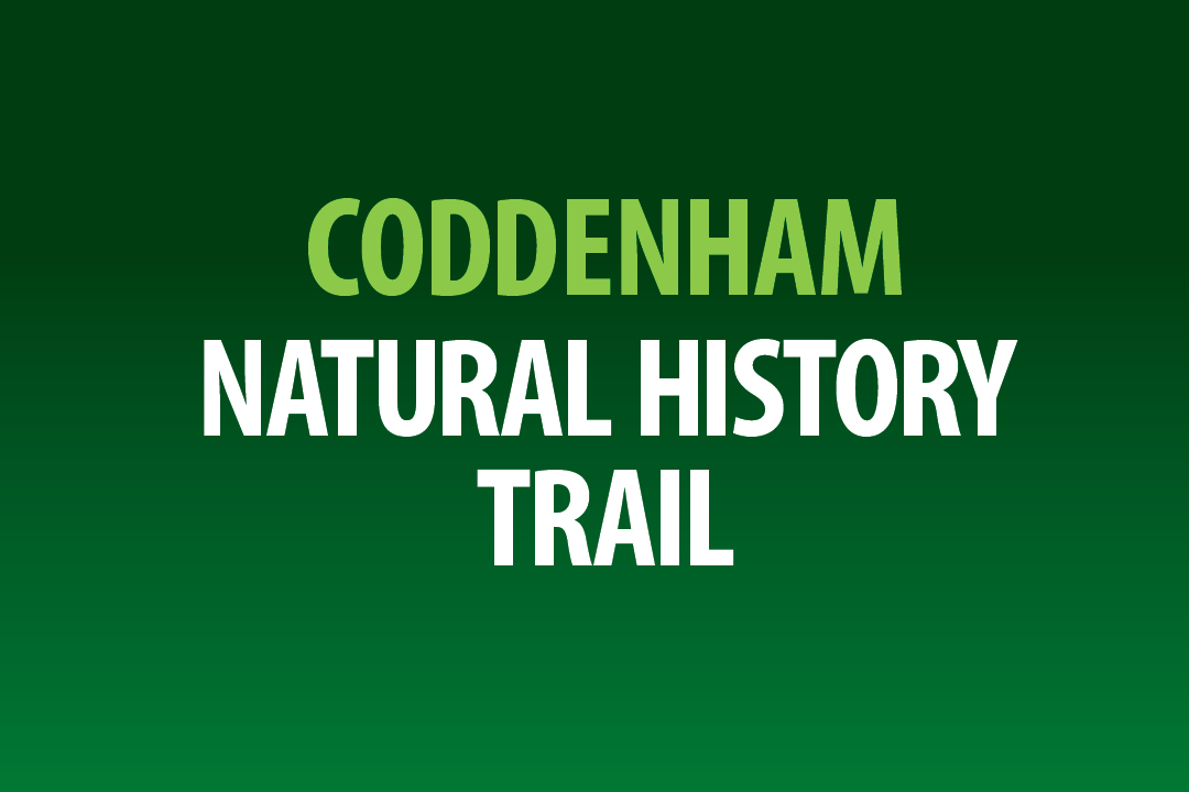 Nature Trail Signs Featured Image
