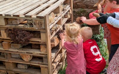 Bug Hotel Build