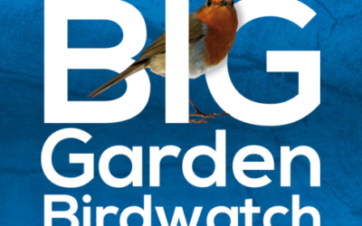 RSPB Big Garden Bird Watch