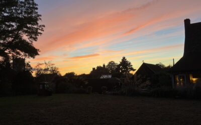 SpadeWork – More Musings from the Garden
