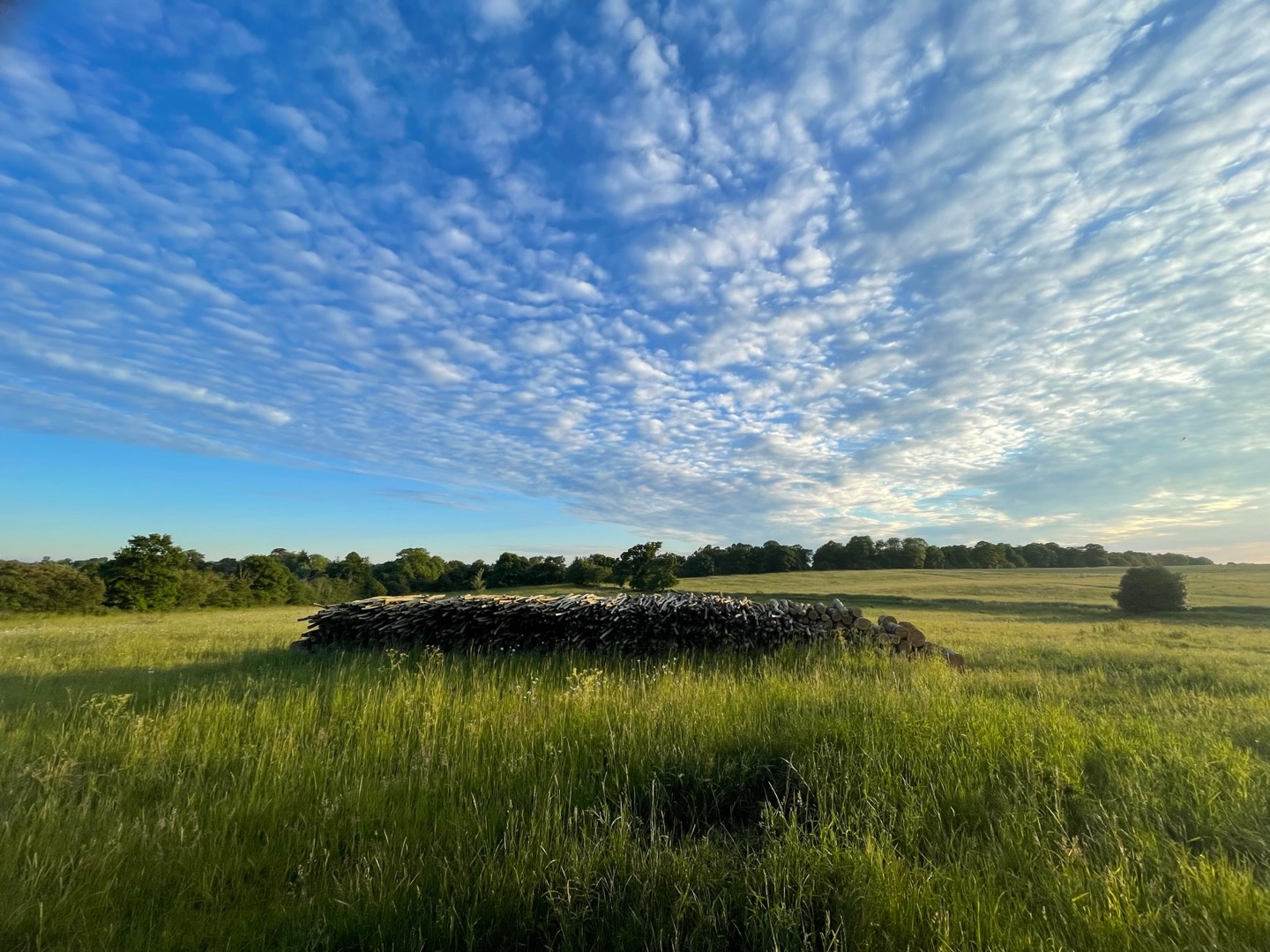 countryside