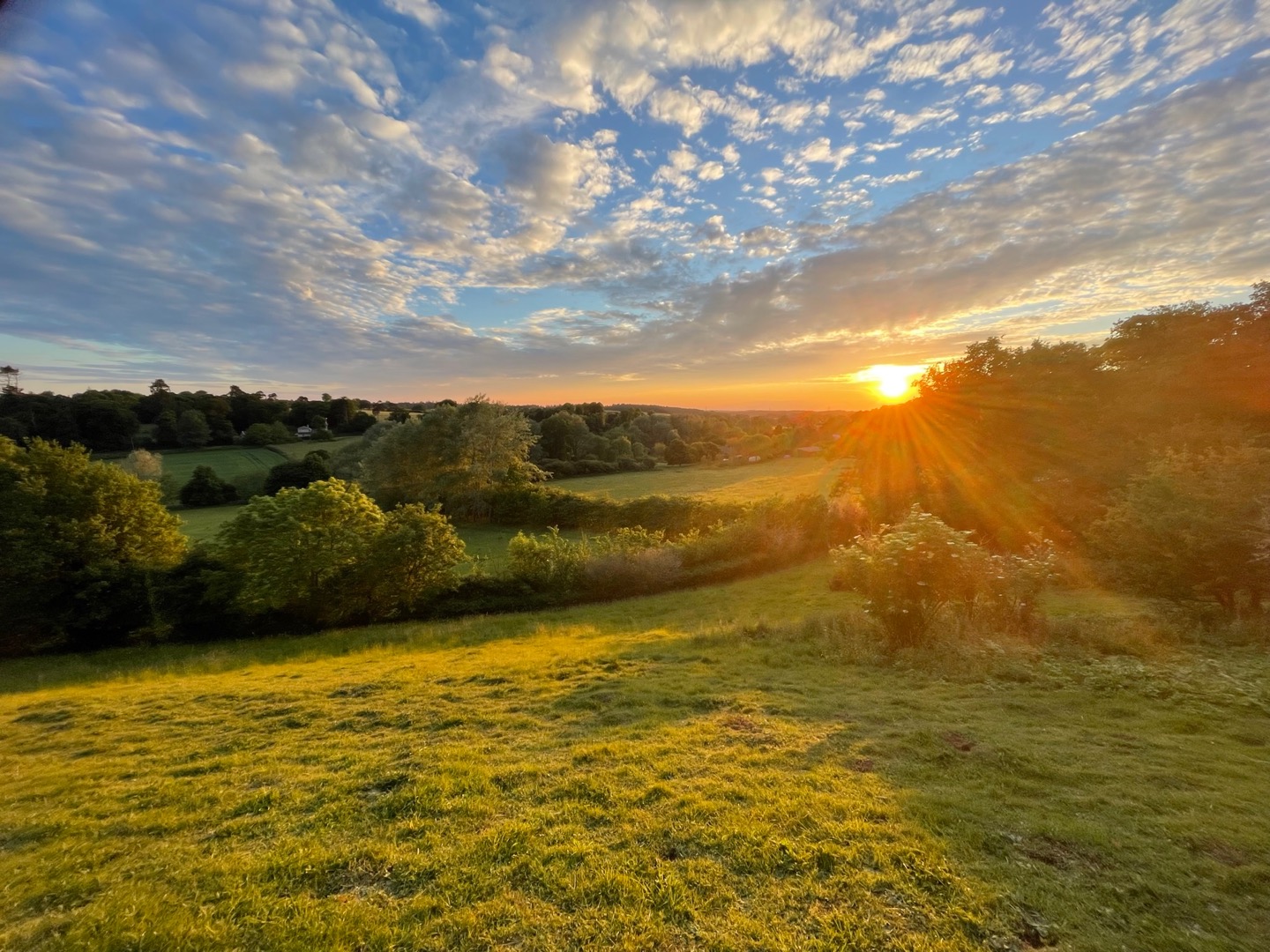 From The Rectory – God Created a Garden